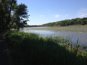 Jezirka Minnesota River