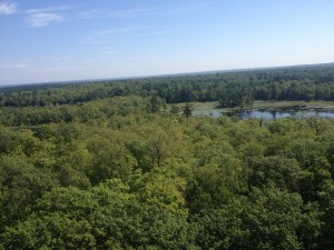 Itasca-vyhled1