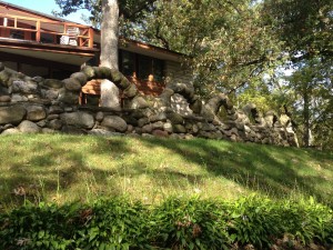 caponi4