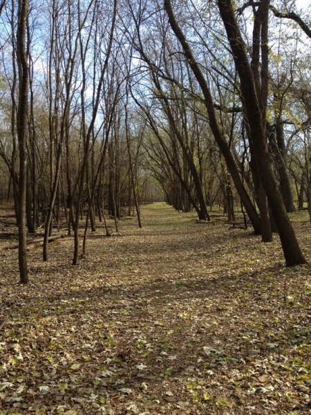 pikeisland1