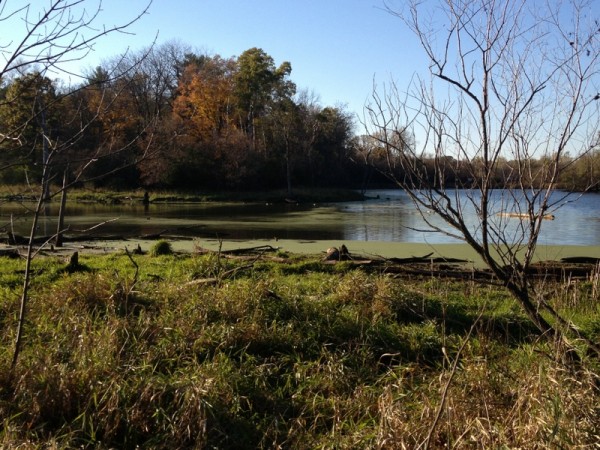 eagan1