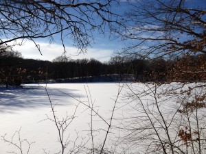 lebanonhills1