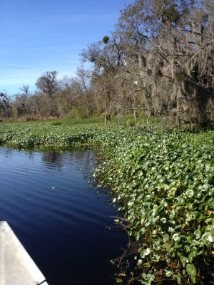 bluesprings6