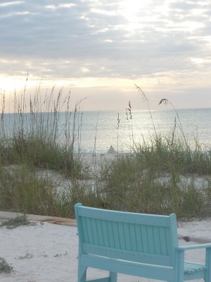 florida8