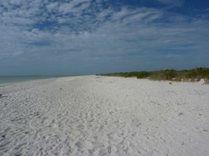florida10