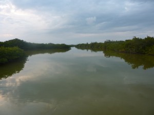 florida13