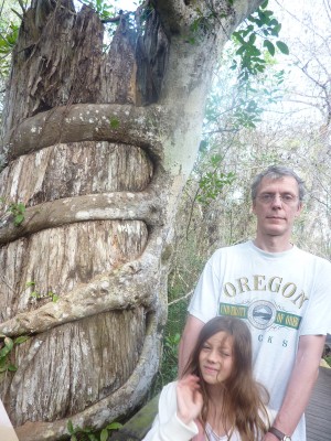 uEverglades1